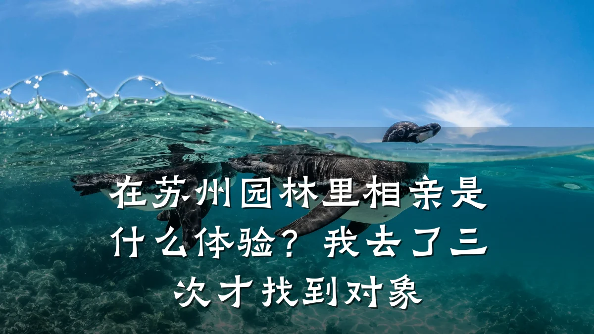 在苏州园林里相亲是什么体验?我去了三次才找到对象