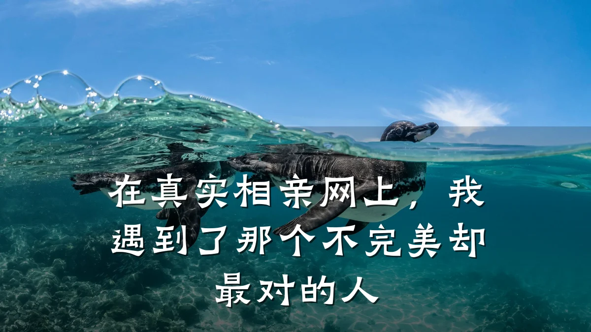 在真实相亲网上,我遇到了那个不完美却最对的人