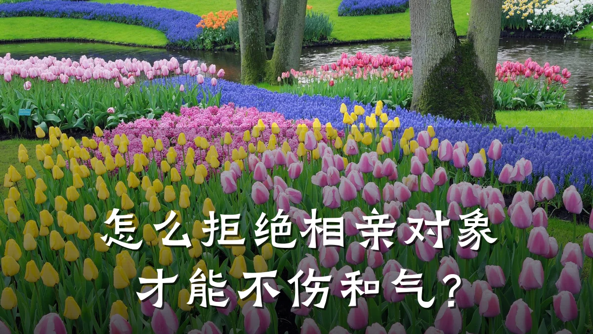 怎么拒绝相亲对象才能不伤和气?