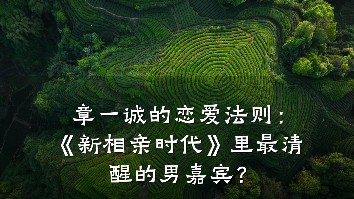 章一诚的恋爱法则:《新相亲时代》里最清醒的男嘉宾?