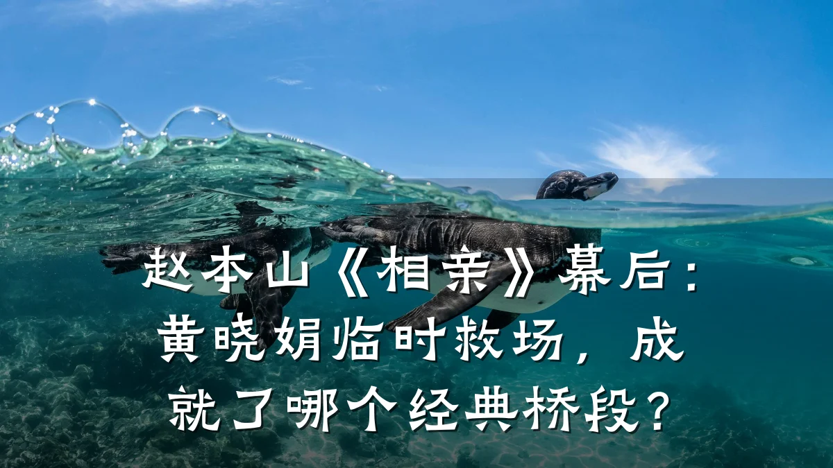 赵本山《相亲》幕后：黄晓娟临时救场，成就了哪个经典桥段？