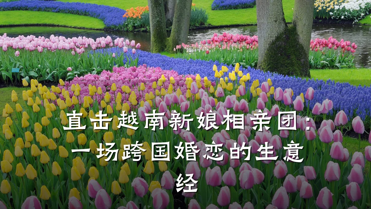 直击越南新娘相亲团:一场跨国婚恋的生意经