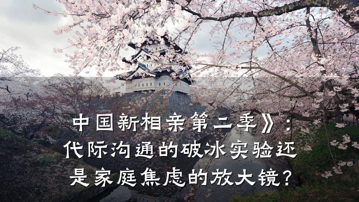 中国新相亲第二季》:代际沟通的破冰实验还是家庭焦虑的放大镜?