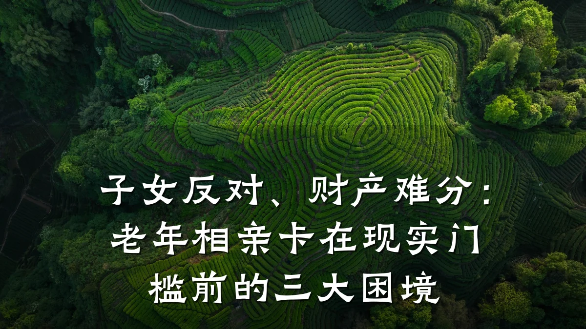 子女反对、财产难分:老年相亲卡在现实门槛前的三大困境