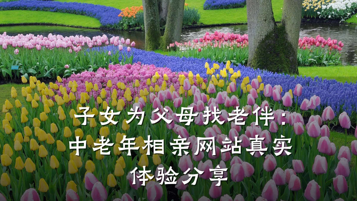 子女为父母找老伴:中老年相亲网站真实体验分享