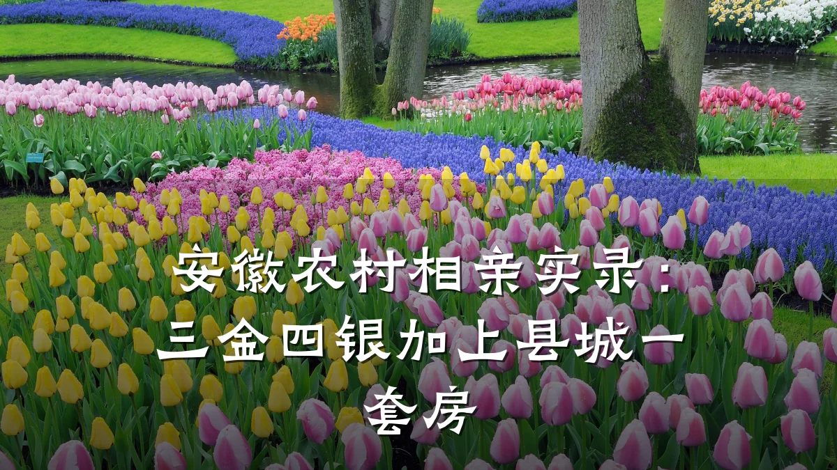 安徽农村相亲实录:三金四银加上县城一套房