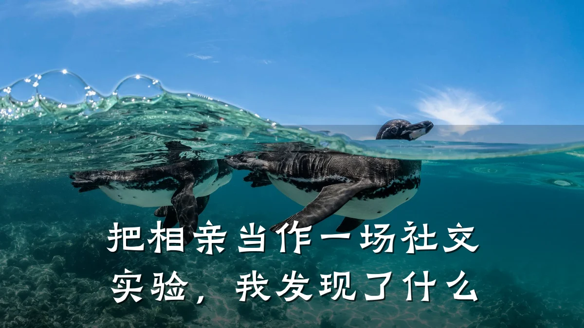 把相亲当作一场社交实验,我发现了什么