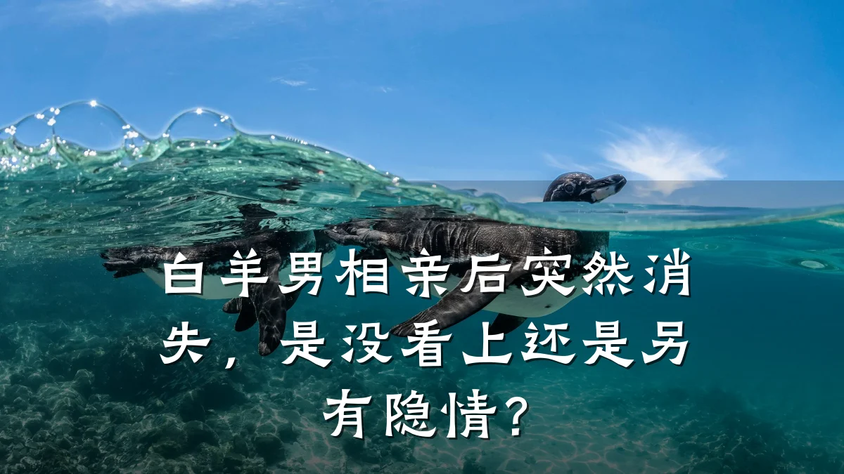白羊男相亲后突然消失,是没看上还是另有隐情?