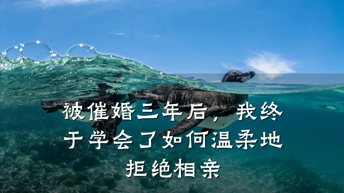 被催婚三年后,我终于学会了如何温柔地拒绝相亲