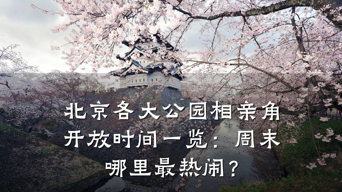 北京各大公园相亲角开放时间一览:周末哪里最热闹?