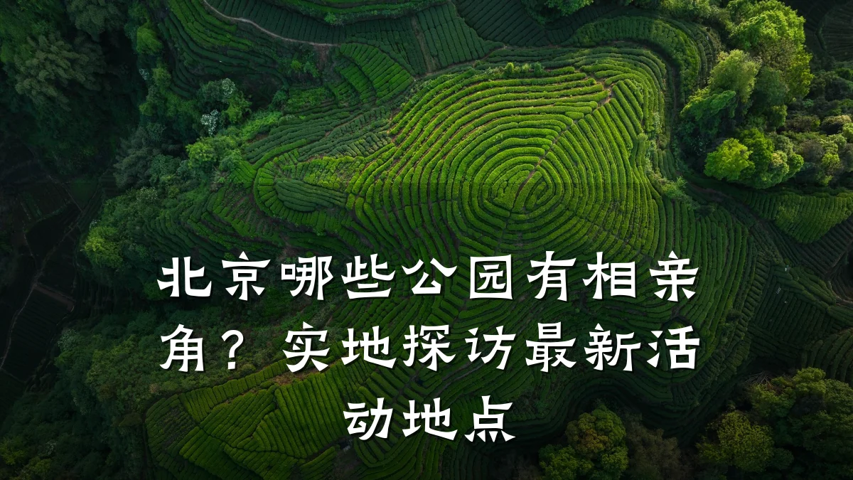 北京哪些公园有相亲角?实地探访最新活动地点
