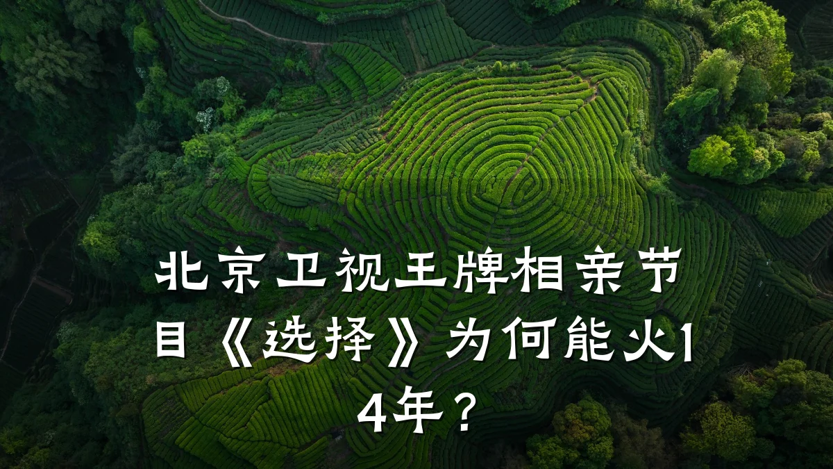 北京卫视王牌相亲节目《选择》为何能火14年?