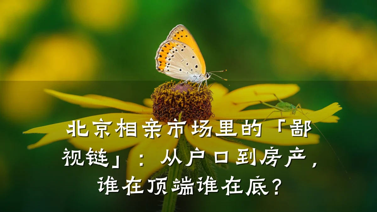 北京相亲市场里的「鄙视链」:从户口到房产,谁在顶端谁在底?