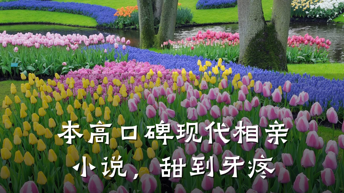 本高口碑现代相亲小说,甜到牙疼