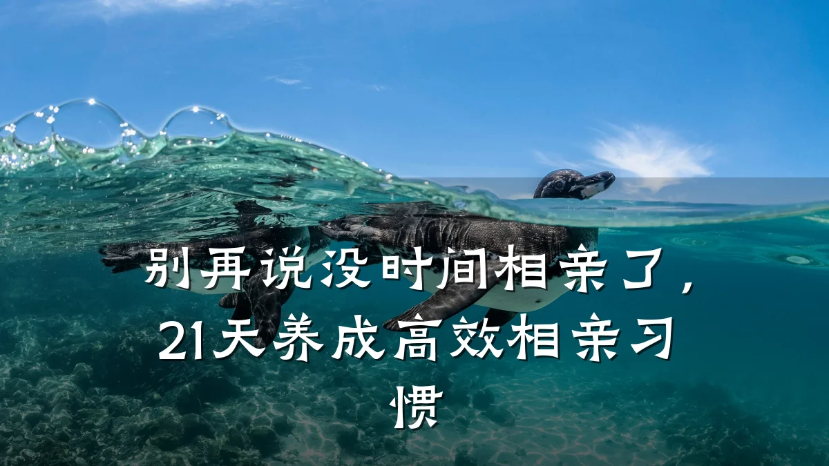 别再说没时间相亲了,21天养成高效相亲习惯