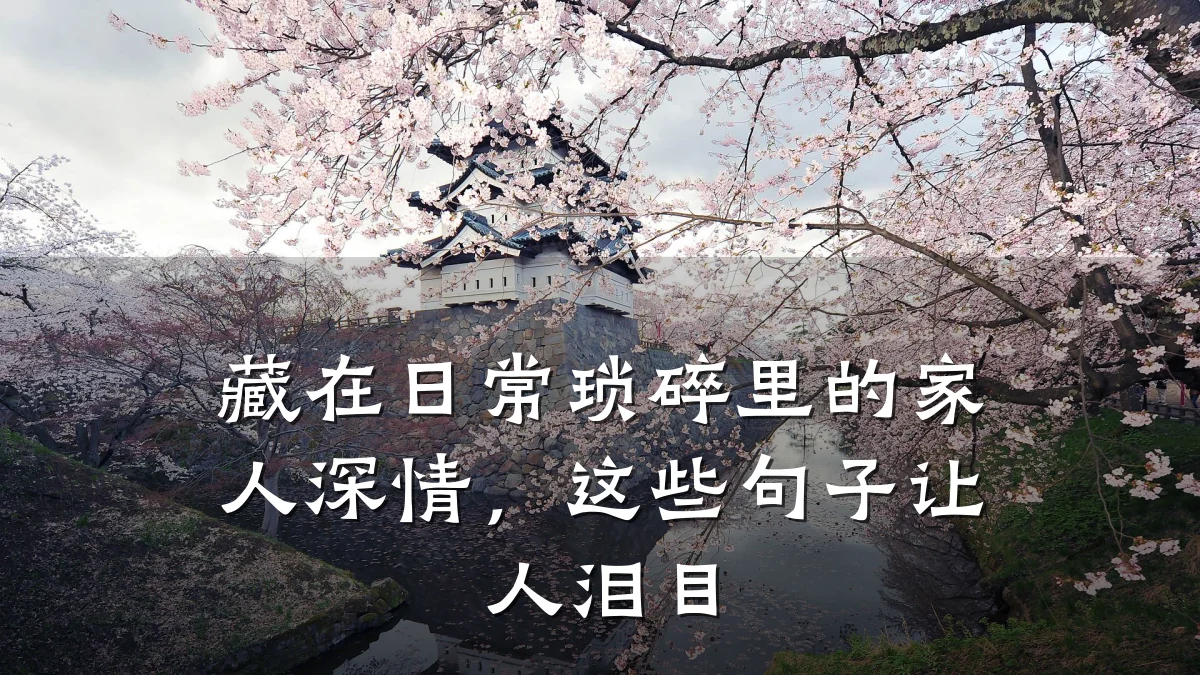 藏在日常琐碎里的家人深情,这些句子让人泪目