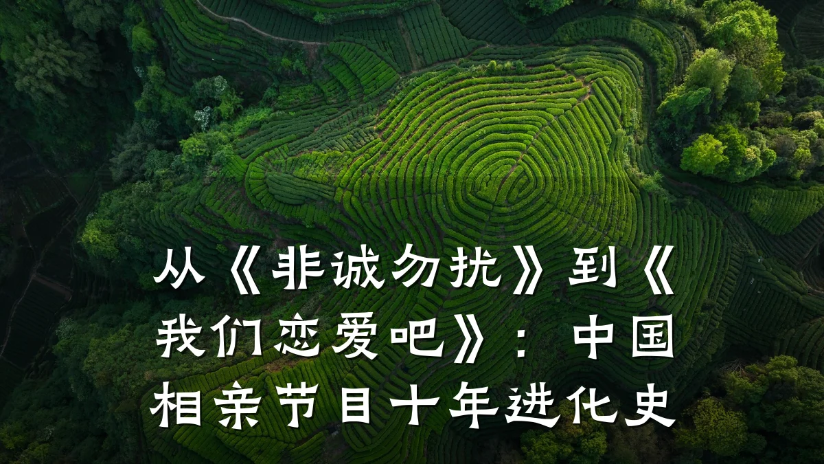 从《非诚勿扰》到《我们恋爱吧》:中国相亲节目十年进化史