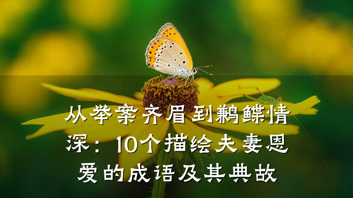 从举案齐眉到鹣鲽情深:10个描绘夫妻恩爱的成语及其典故