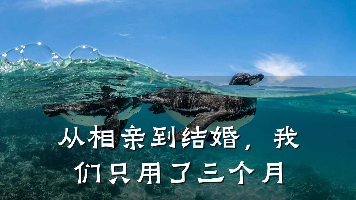 从相亲到结婚,我们只用了三个月