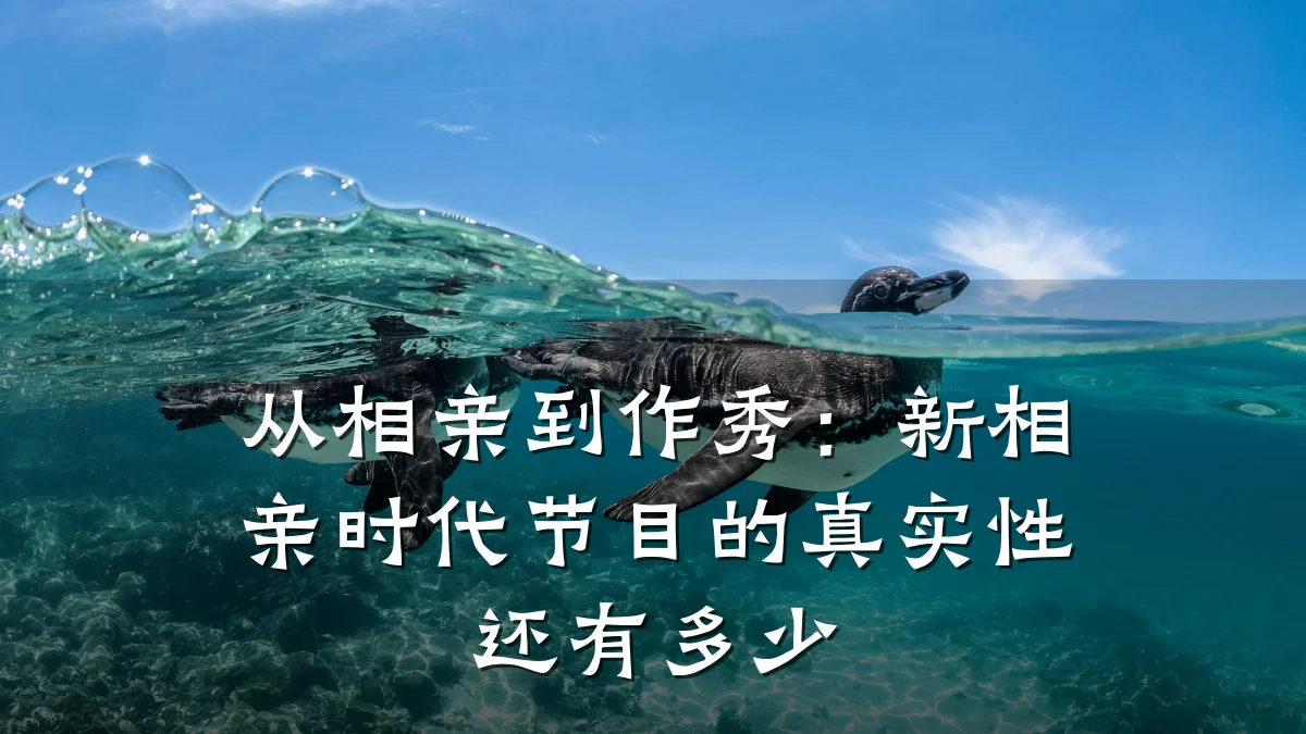 从相亲到作秀:新相亲时代节目的真实性还有多少