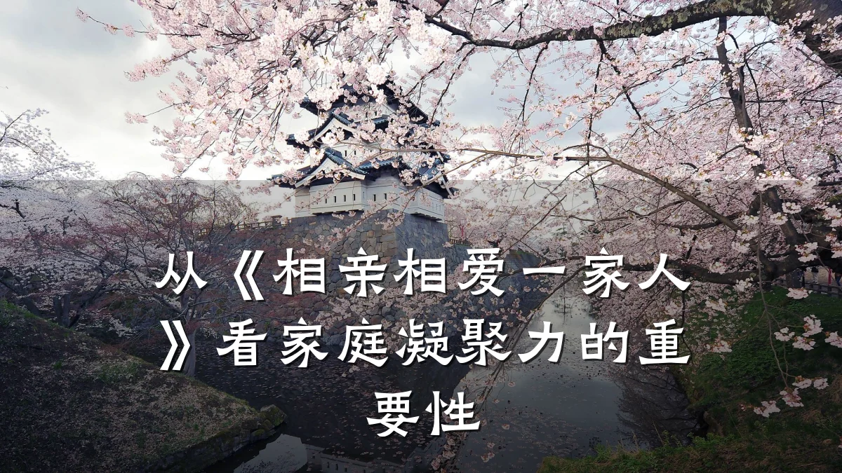 从《相亲相爱一家人》看家庭凝聚力的重要性