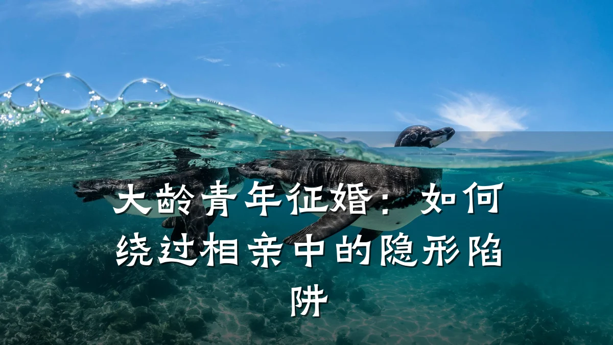 大龄青年征婚:如何绕过相亲中的隐形陷阱