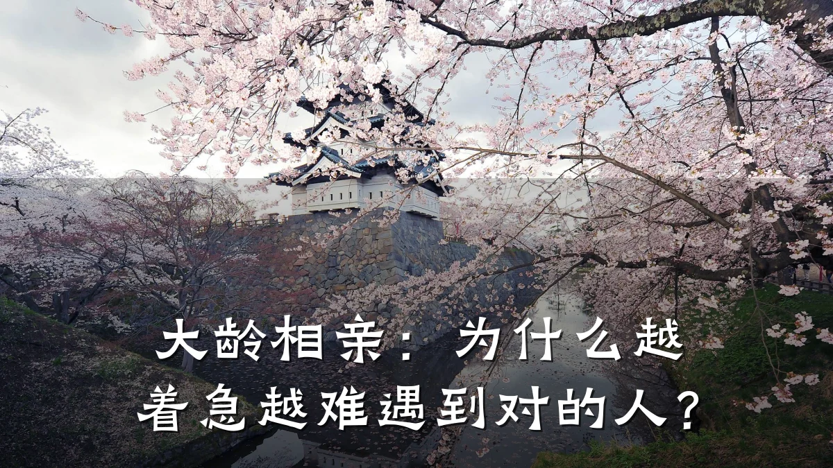 大龄相亲:为什么越着急越难遇到对的人?