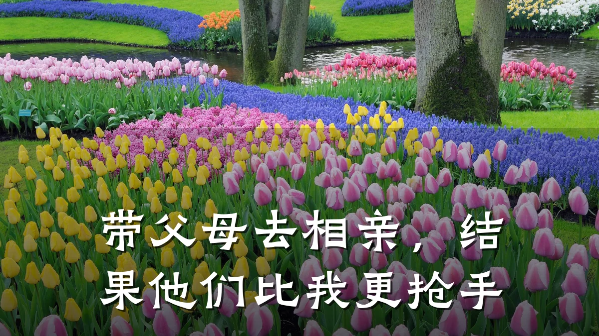 带父母去相亲,结果他们比我更抢手