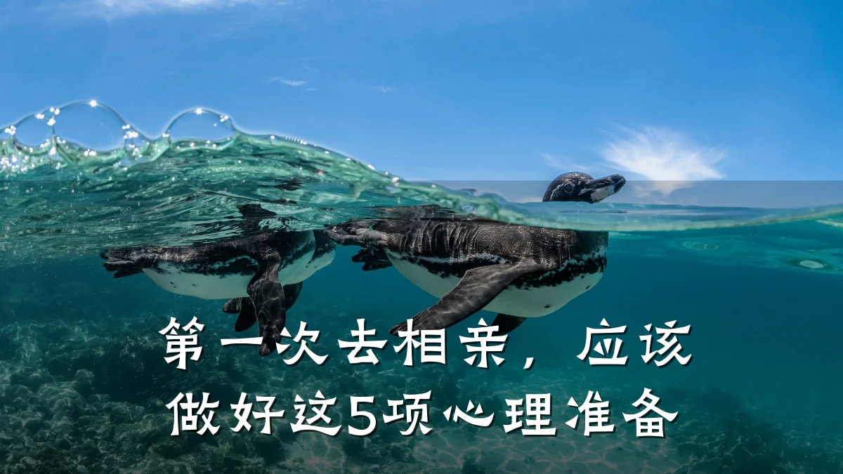 第一次去相亲,应该做好这5项心理准备
