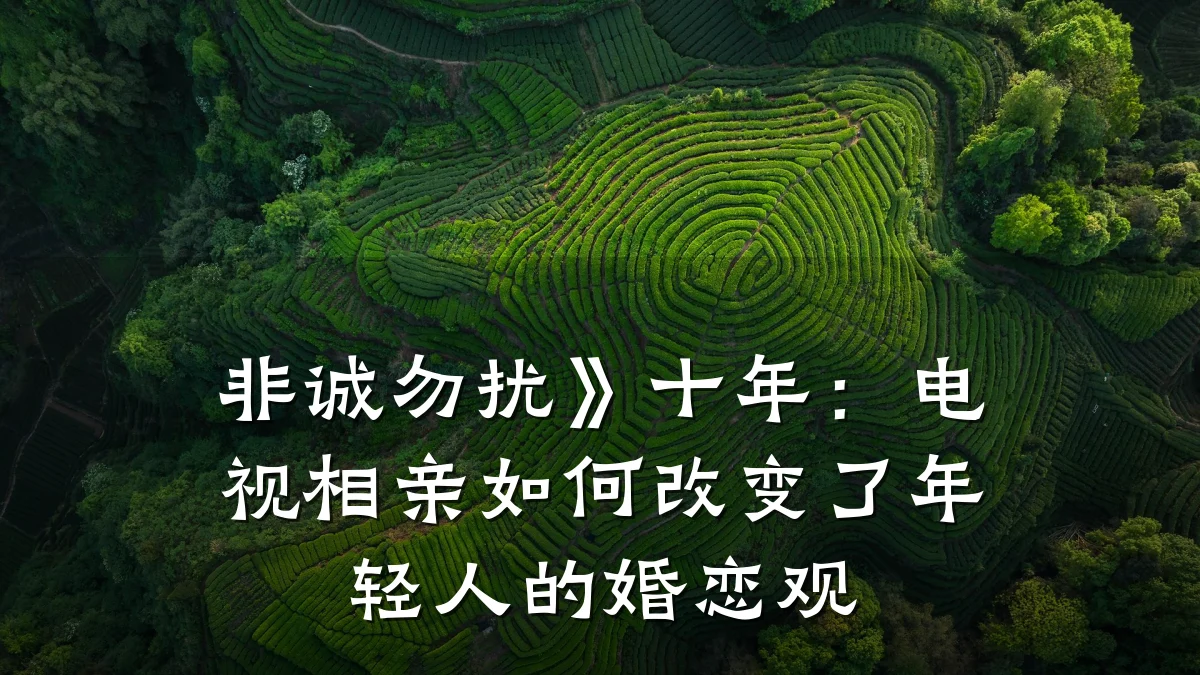 非诚勿扰》十年:电视相亲如何改变了年轻人的婚恋观