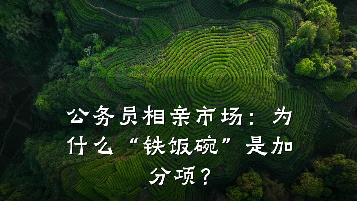 公务员相亲市场:为什么“铁饭碗”是加分项?