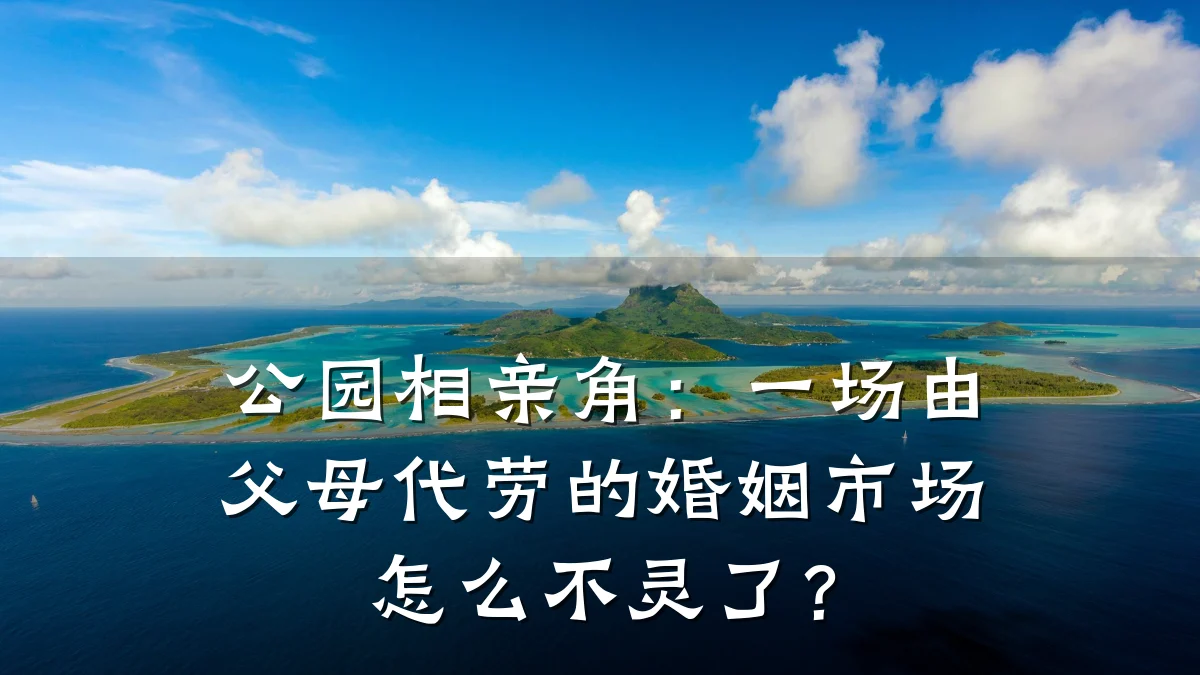 公园相亲角:一场由父母代劳的婚姻市场怎么不灵了?