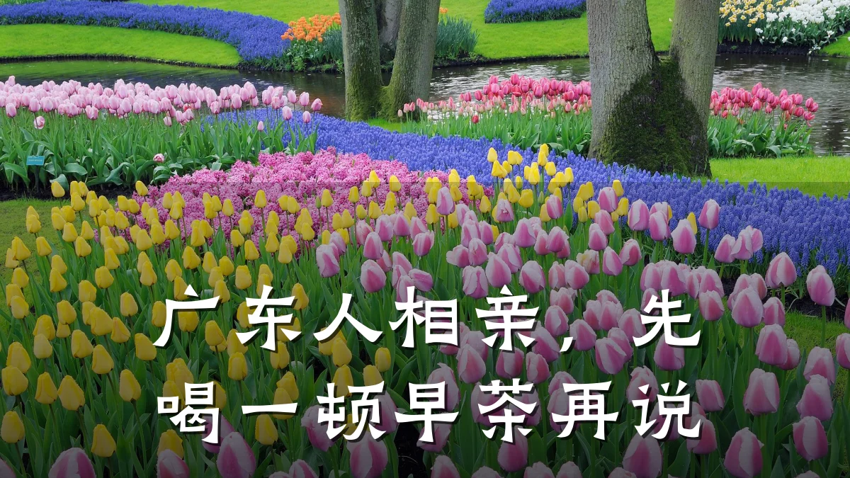 广东人相亲,先喝一顿早茶再说