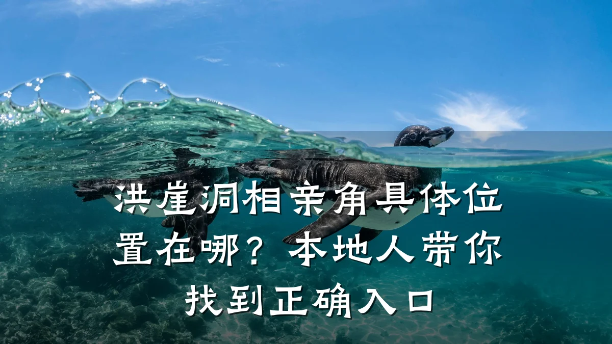 洪崖洞相亲角具体位置在哪?本地人带你找到正确入口
