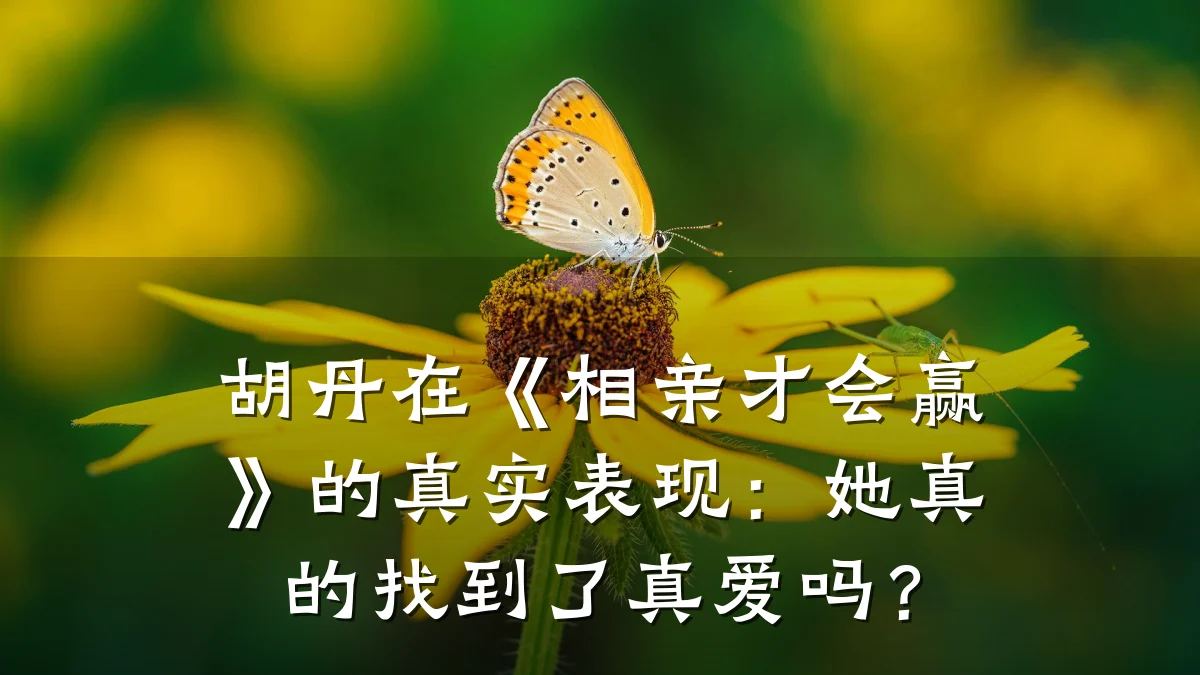 胡丹在《相亲才会赢》的真实表现:她真的找到了真爱吗?