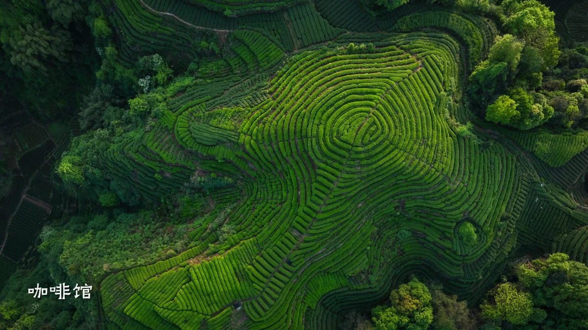 咖啡馆