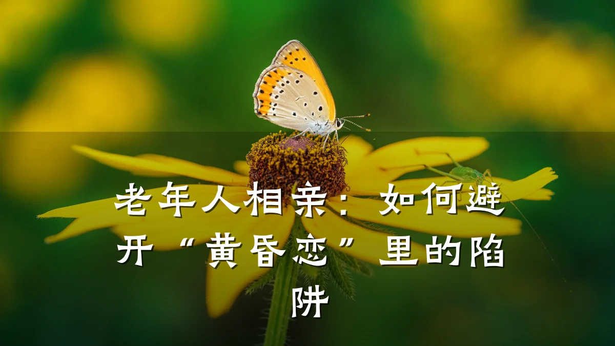 老年人相亲:如何避开“黄昏恋”里的陷阱