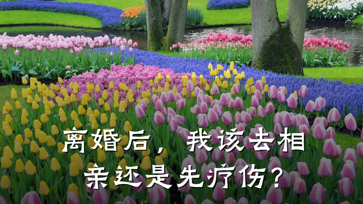 离婚后,我该去相亲还是先疗伤?