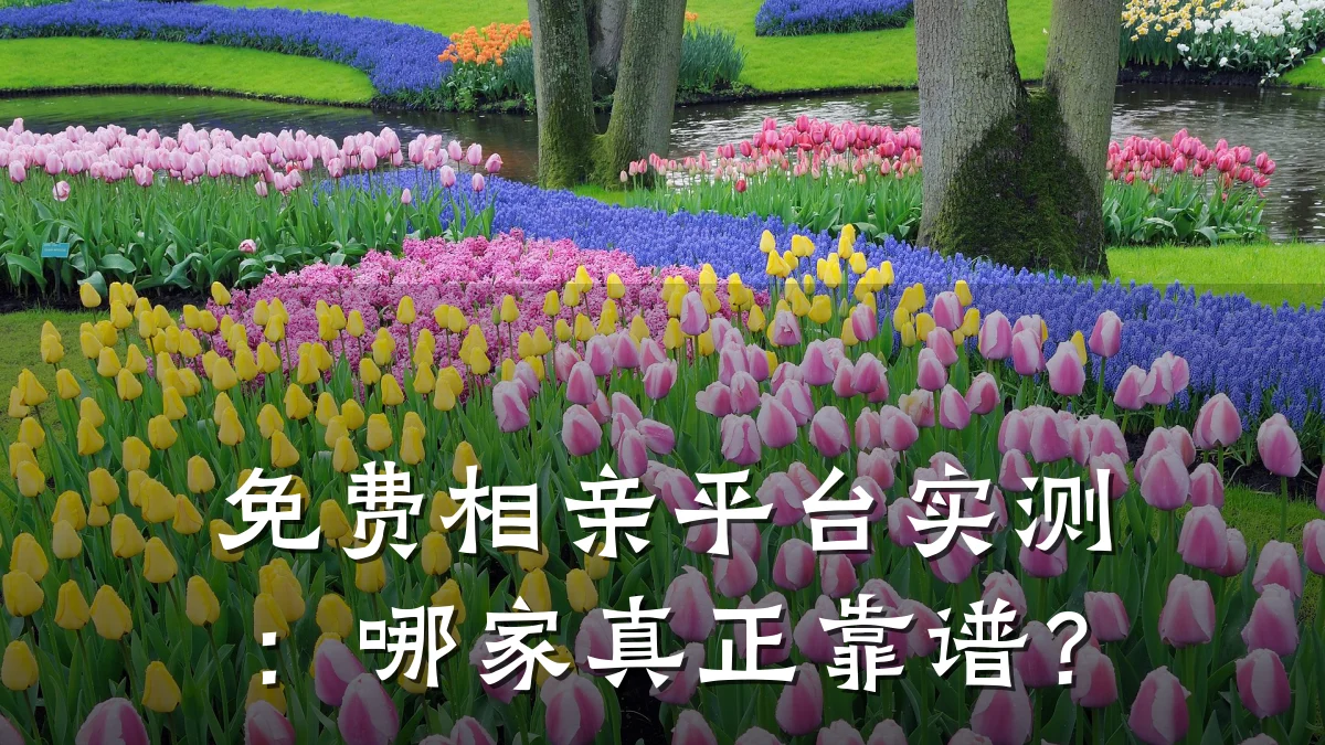 免费相亲平台实测:哪家真正靠谱?