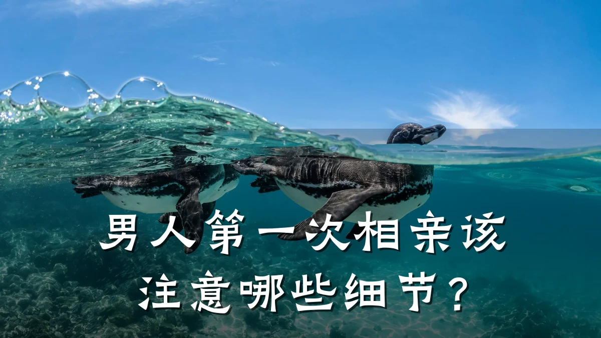 男人第一次相亲该注意哪些细节?