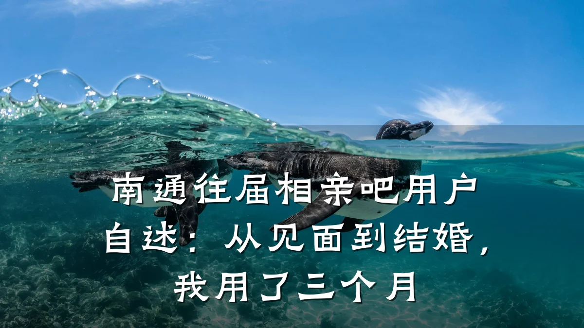 南通往届相亲吧用户自述:从见面到结婚,我用了三个月