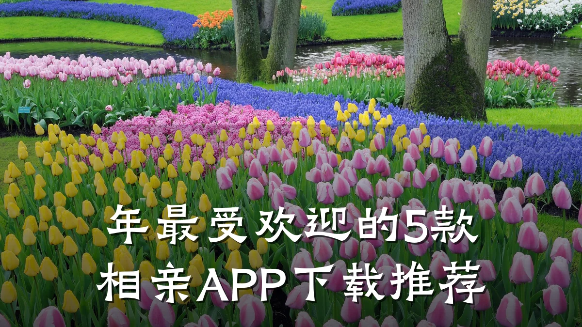 年最受欢迎的5款相亲APP下载推荐
