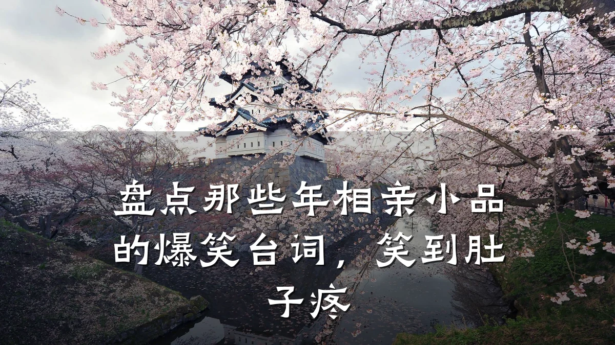 盘点那些年相亲小品的爆笑台词,笑到肚子疼
