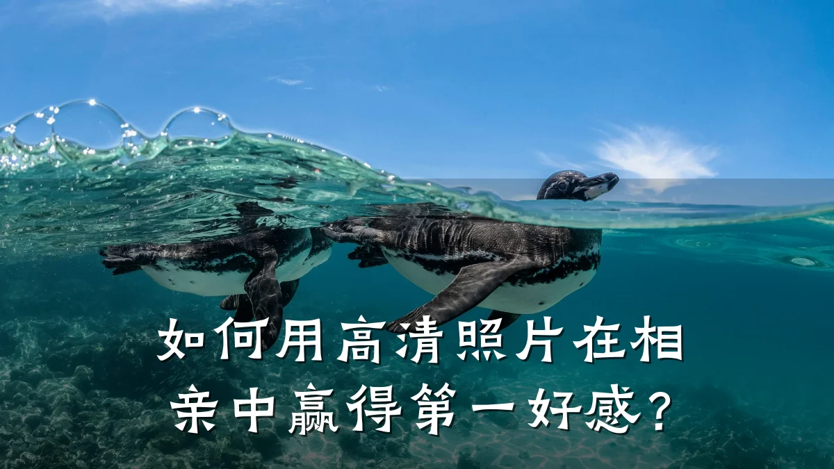 如何用高清照片在相亲中赢得第一好感？