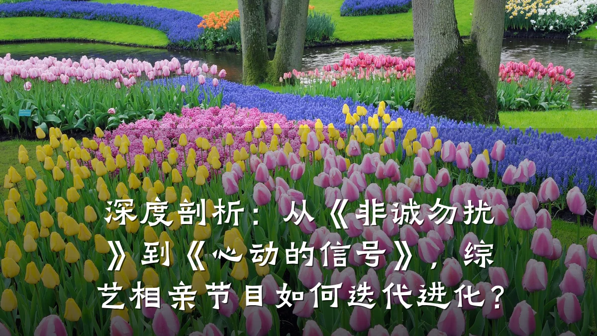 深度剖析:从《非诚勿扰》到《心动的信号》,综艺相亲节目如何迭代进化?