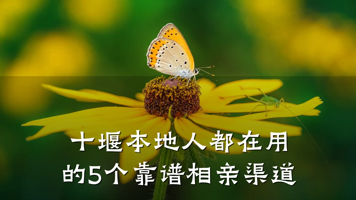 十堰本地人都在用的5个靠谱相亲渠道