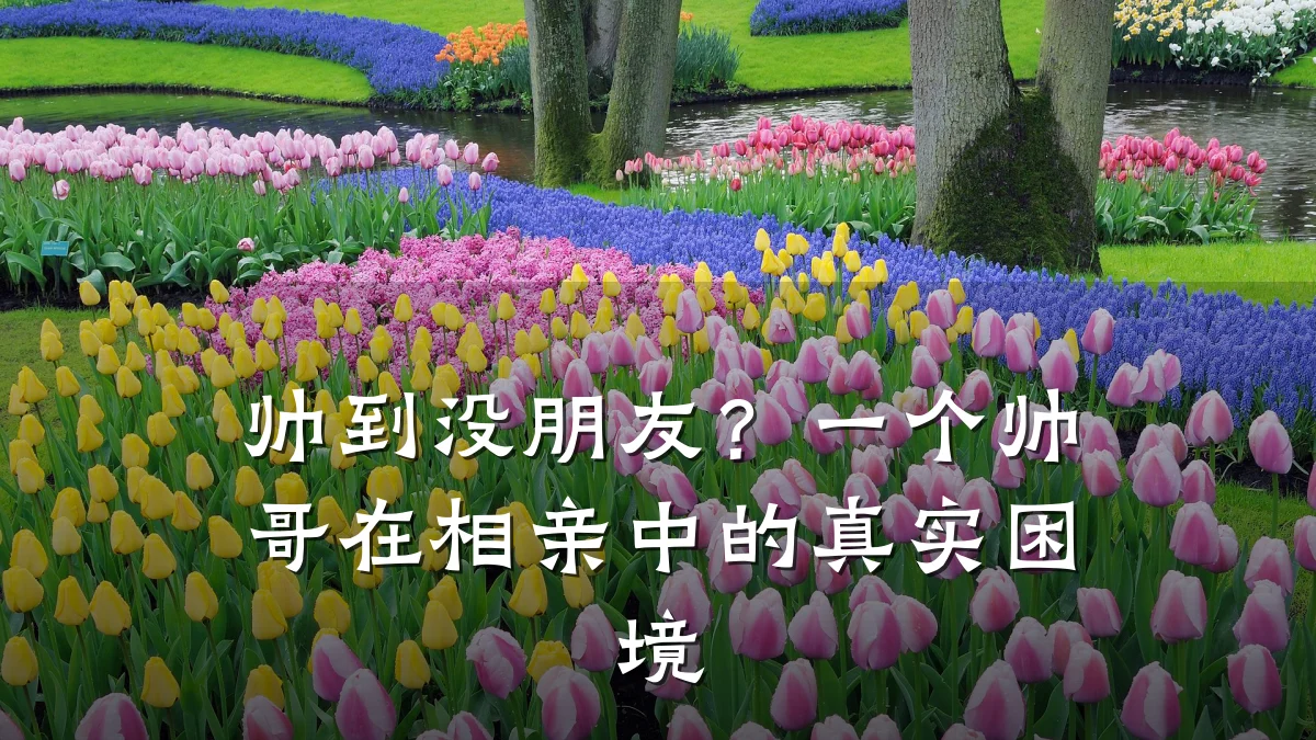 帅到没朋友?一个帅哥在相亲中的真实困境