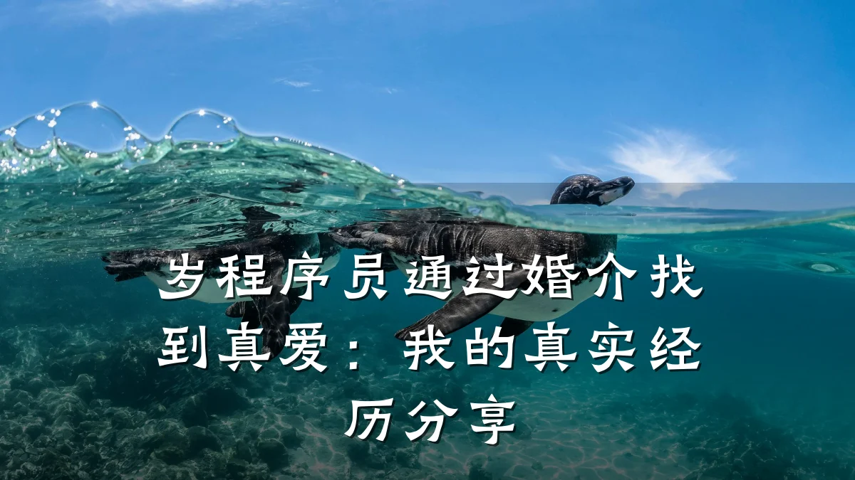 岁程序员通过婚介找到真爱:我的真实经历分享