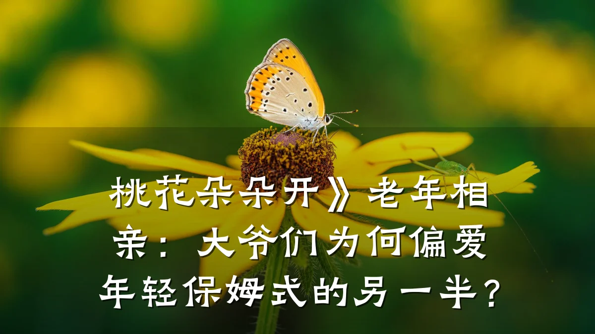 桃花朵朵开》老年相亲:大爷们为何偏爱年轻保姆式的另一半?