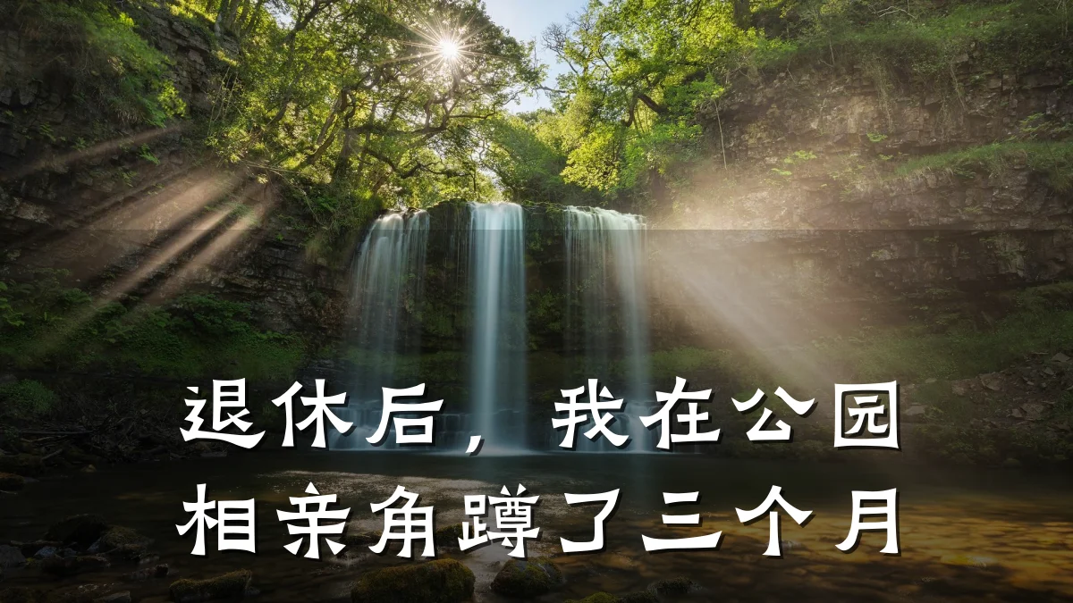 退休后,我在公园相亲角蹲了三个月